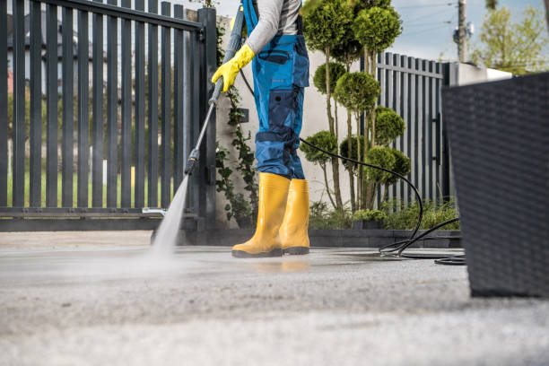 Professional Pressure Washing in Tierra Verde, FL