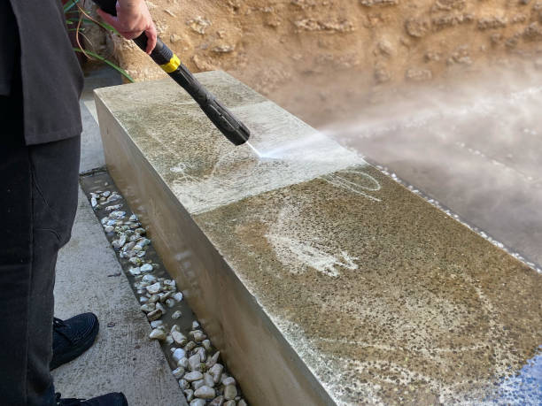 Best Roof Pressure Washing  in Tierra Verde, FL