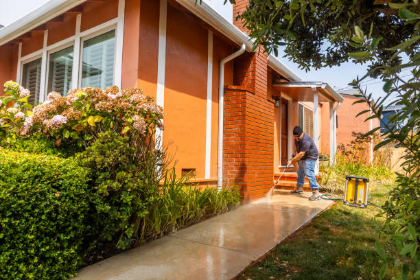 Best Pressure Washing Company Near Me  in Tierra Verde, FL