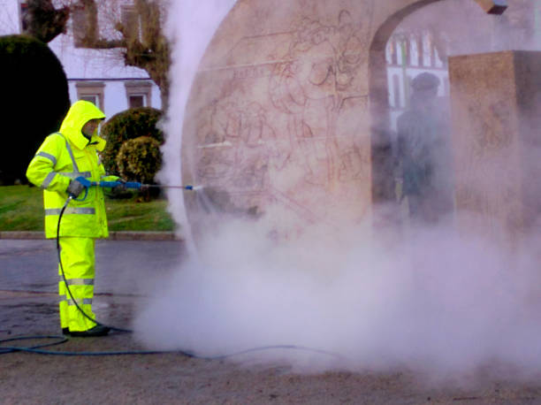 Best Garage Pressure Washing  in Tierra Verde, FL