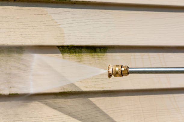 Best Residential Pressure Washing Services  in Tierra Verde, FL