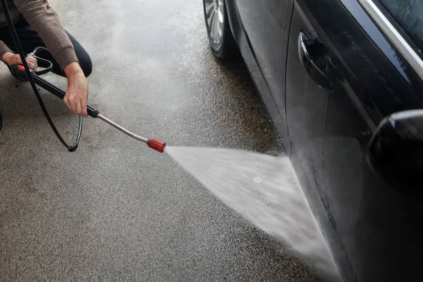 Best Roof Pressure Washing  in Tierra Verde, FL